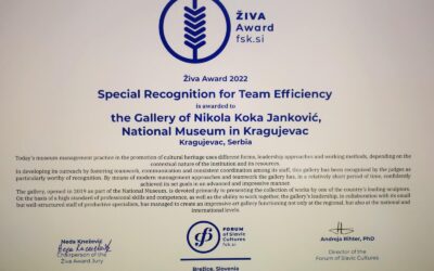 Специјална награда за тимску ефикасност „Жива“, додељена је Галерији Николе Коке Јанковића