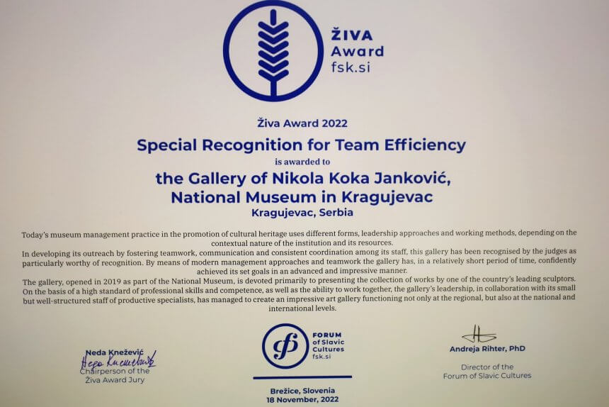 Специјална награда за тимску ефикасност „Жива“, додељена је Галерији Николе Коке Јанковића